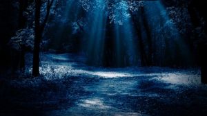 moonlight-forest.jpg.653x0_q80_crop-smart