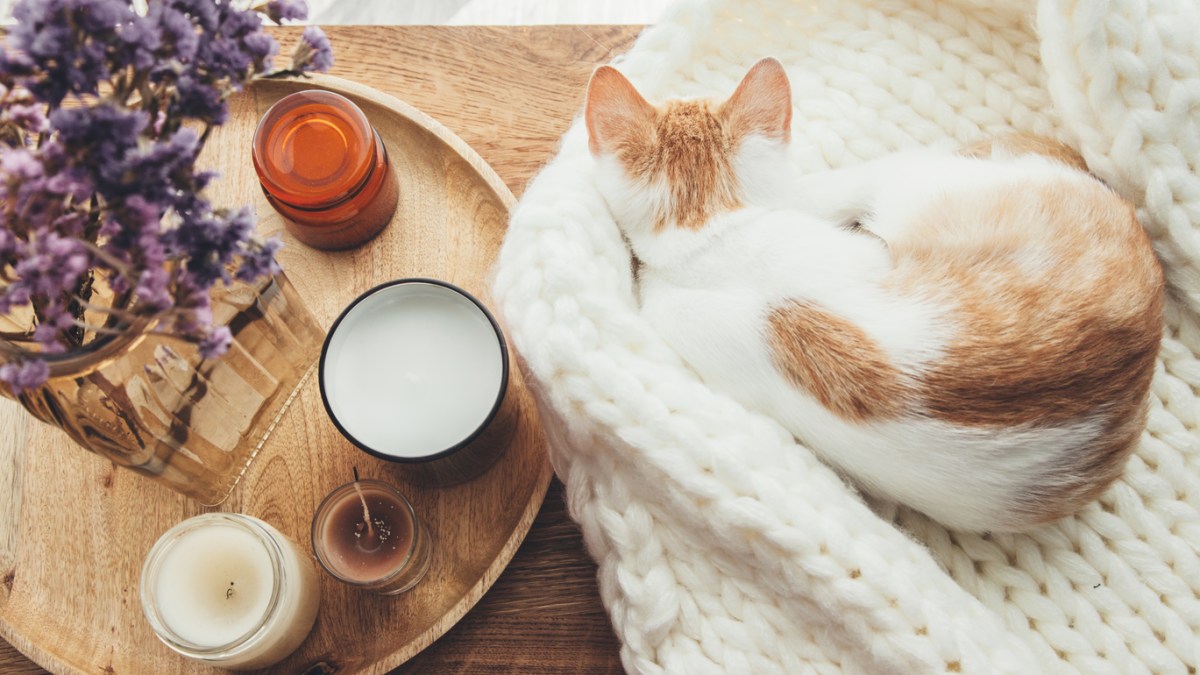 DECO HYGGE
