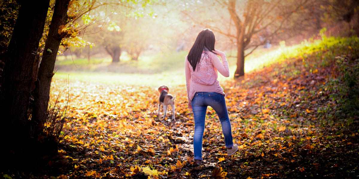 AUTUMN WALK WITH DOG