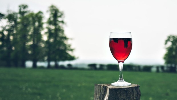 WINE,OUTSIDE,CONCEPT