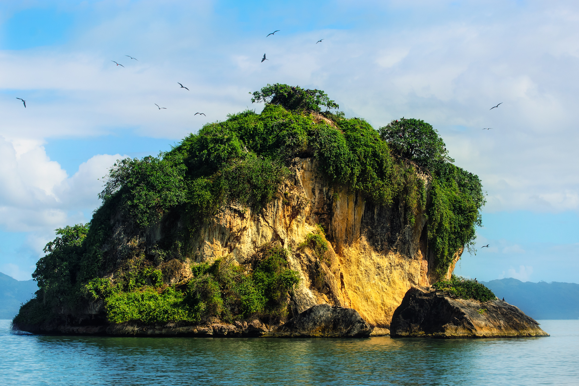 Dominican_Republic_Los_Haitises_birds_island