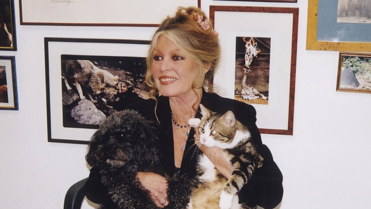 BARDOT