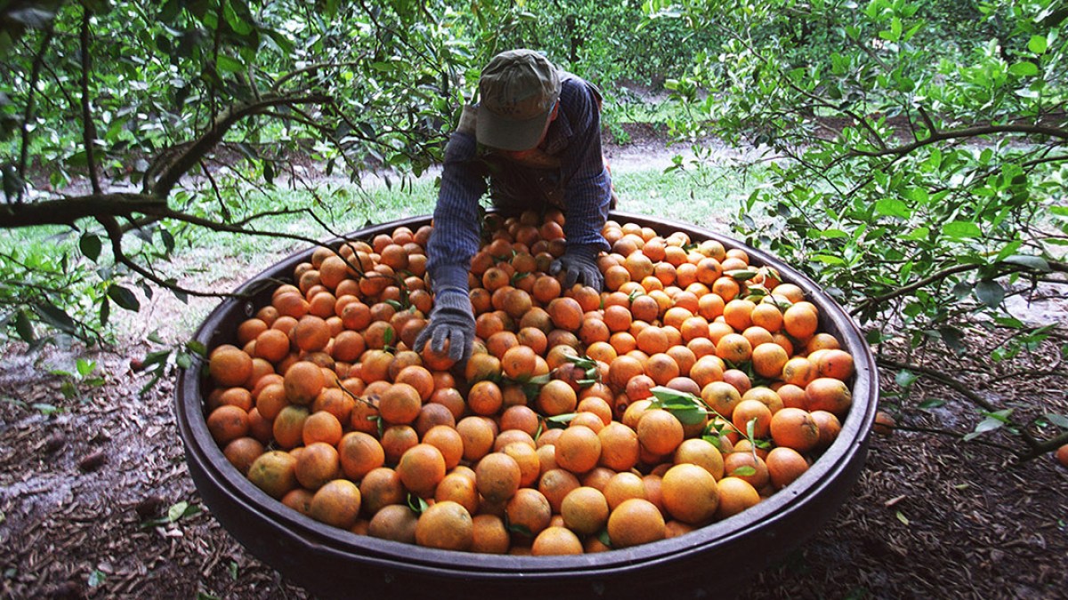 WORKER