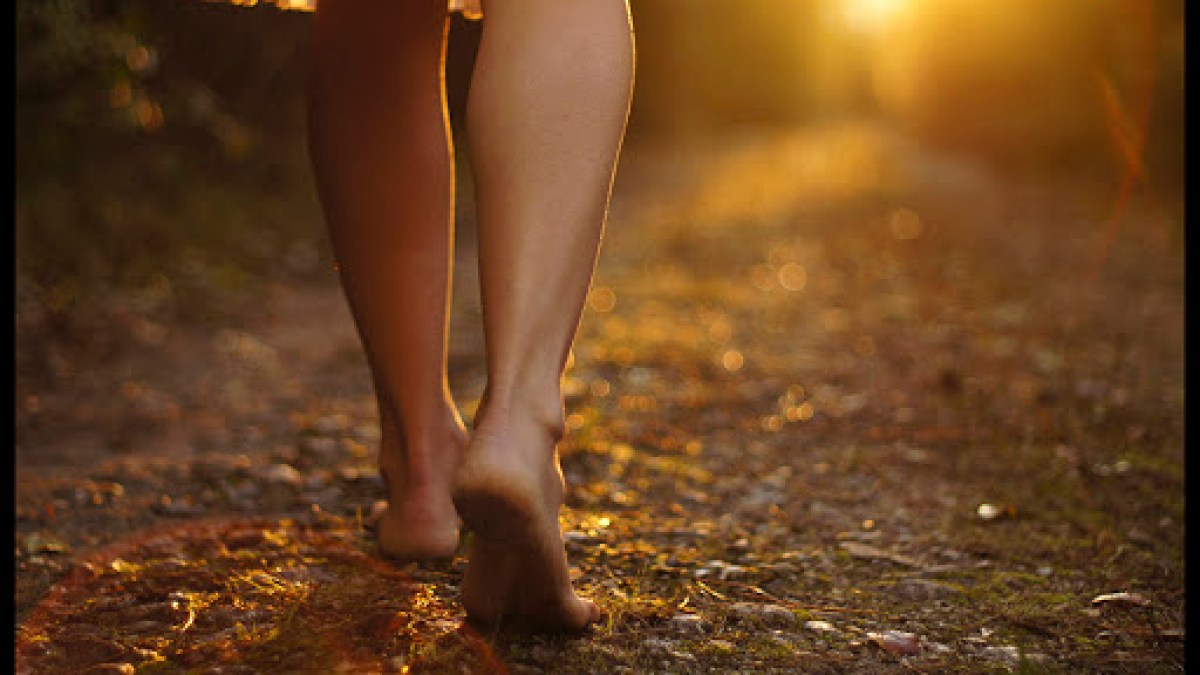 Young female legs walking towards the sunset on a dirt road – © Petar Paunchev / Shutterstock – it