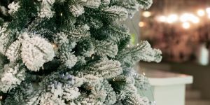 Prepárate espiritualmente para Navidad con esta oración