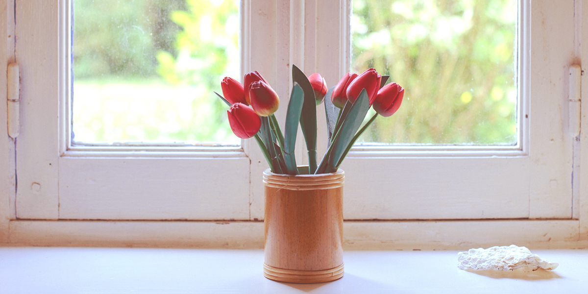 WINDOW