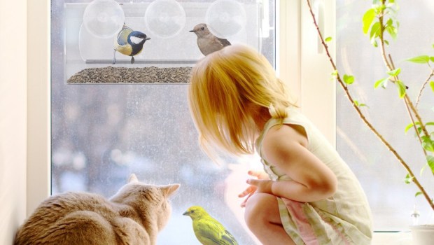 Bird feeder