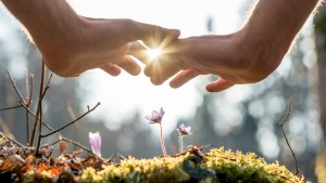 HANDS FLOWERS