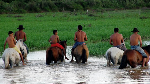 LLANERO