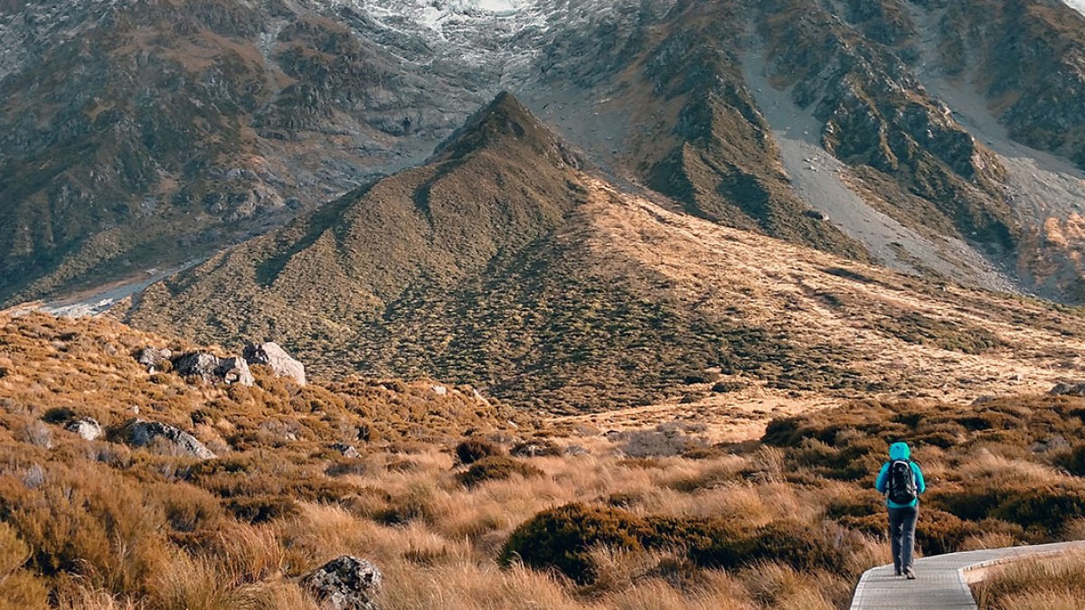 NATURE