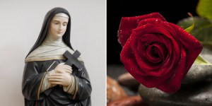 Thumbnail for read also