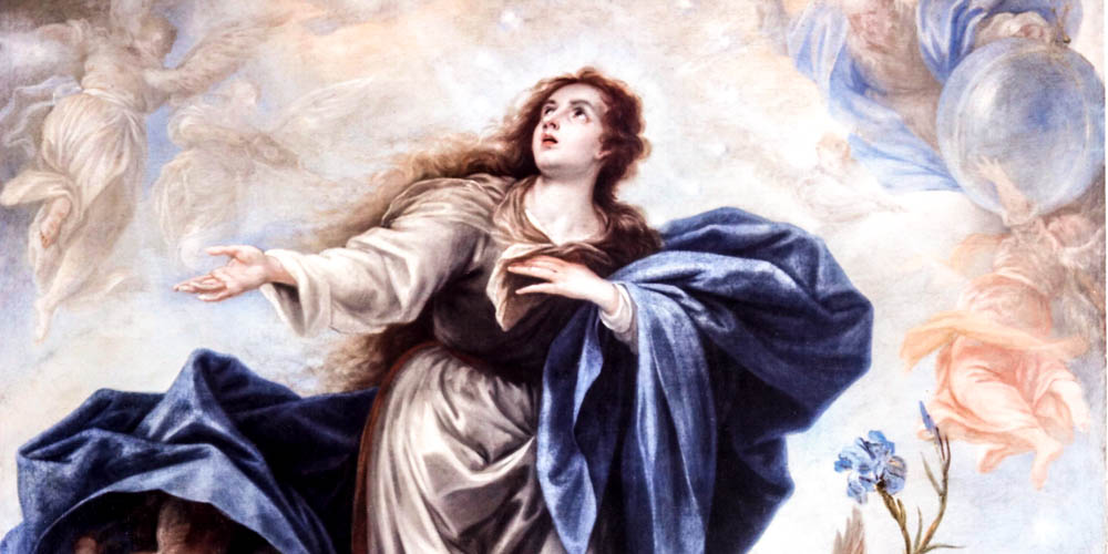 THE IMMACULATE CONCEPTION