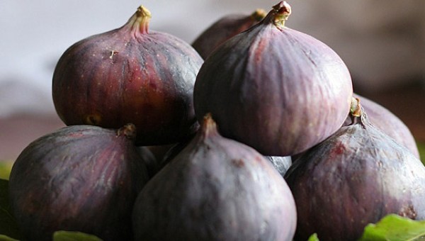 FIGS