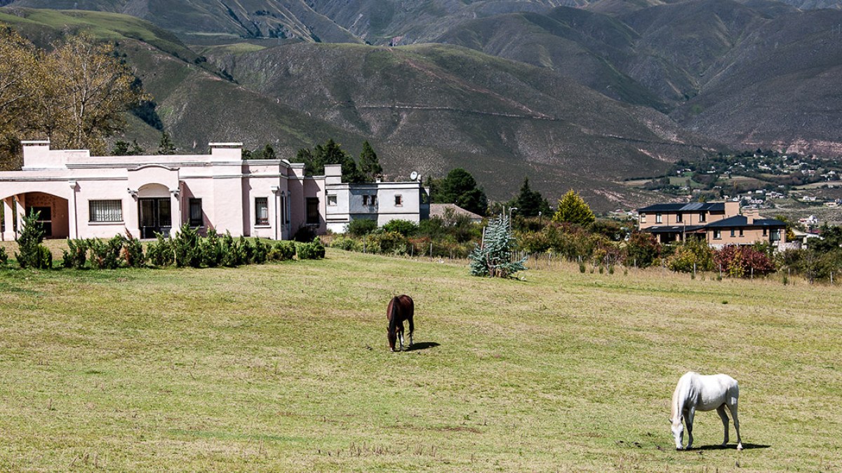 TAFI DEL VALLE