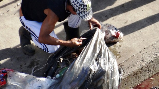 Recogiendo restos de comida y verduras en una calle de Caracas