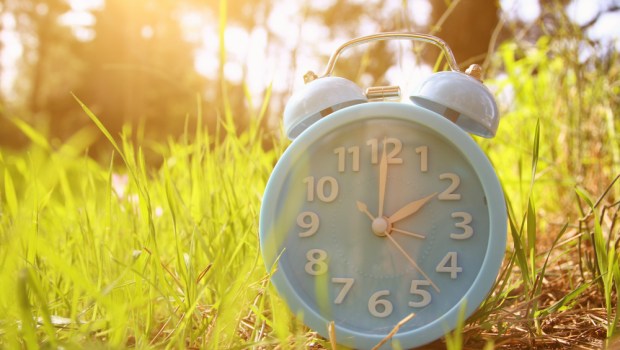 CLOCK, GRASS, SUN