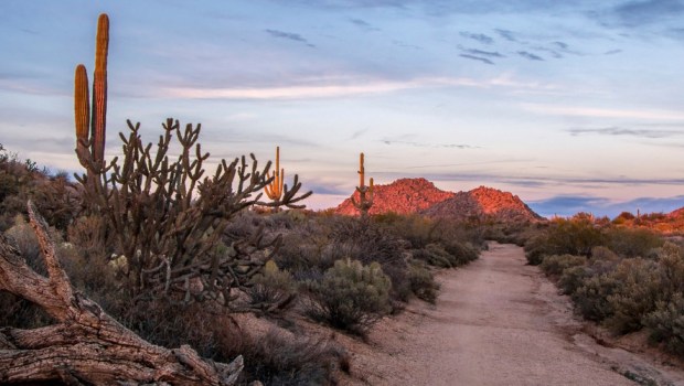 ARIZONA
