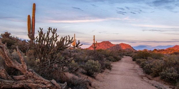 ARIZONA