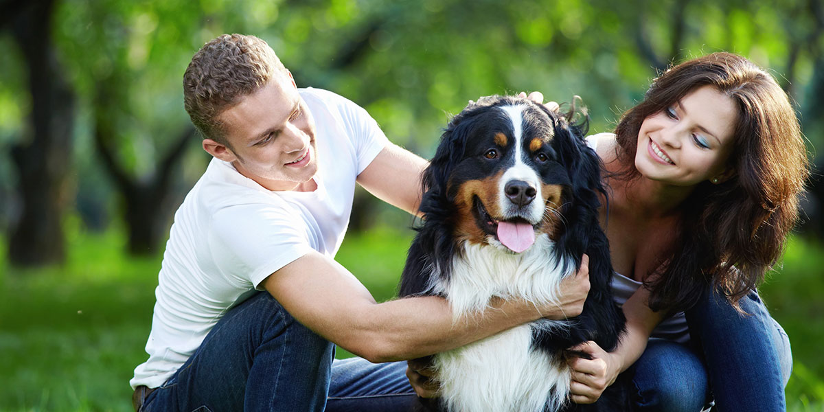 PET