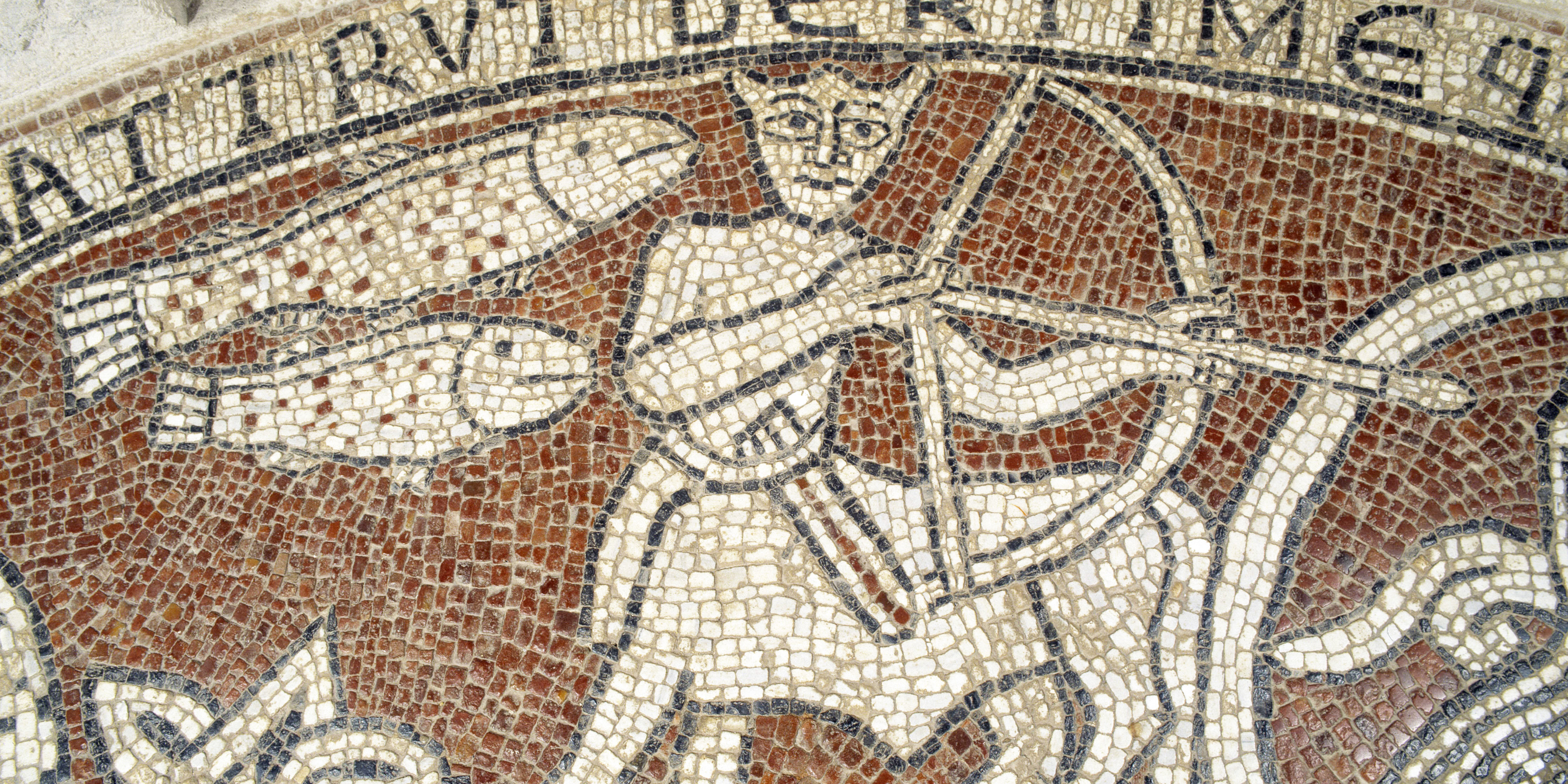 máximo pastor tierra Por qué hay monstruos enigmáticos en el arte cristiano medieval?