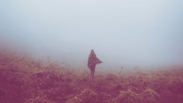 FOG