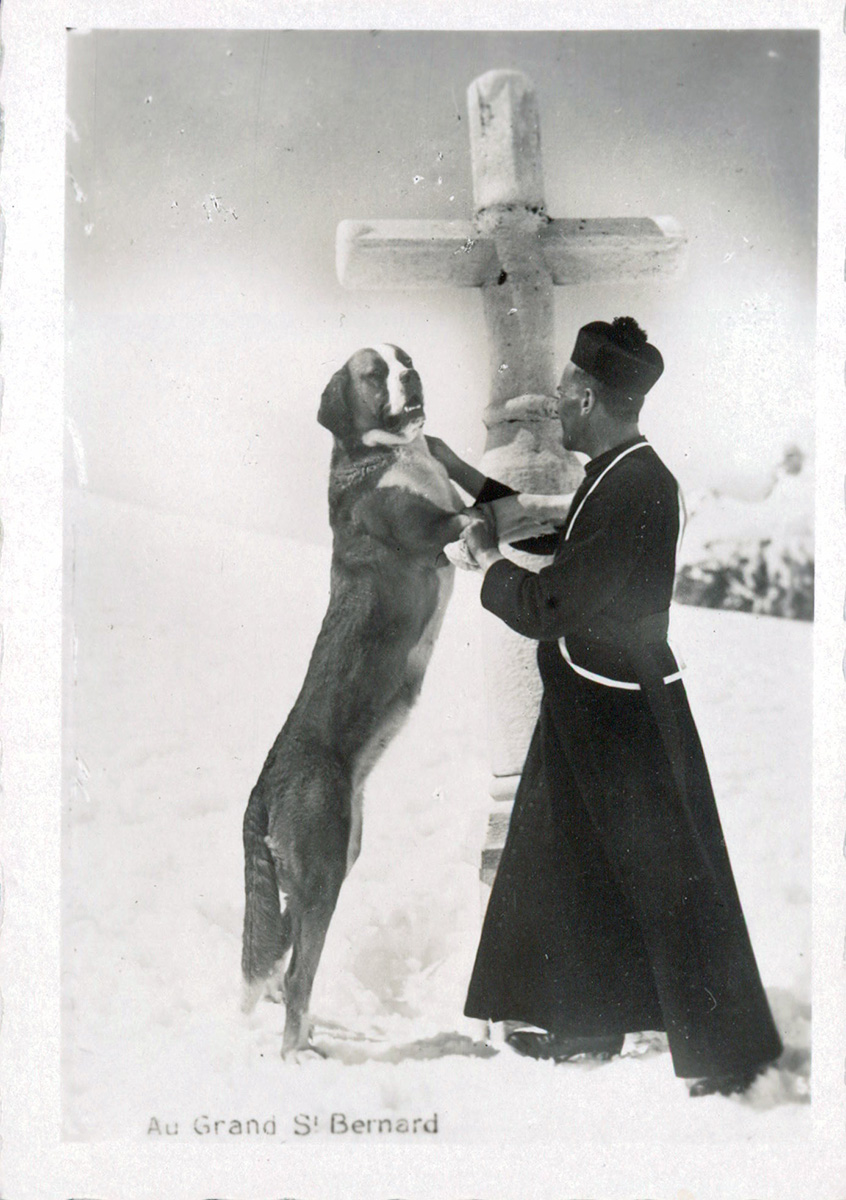 ST BERNARD