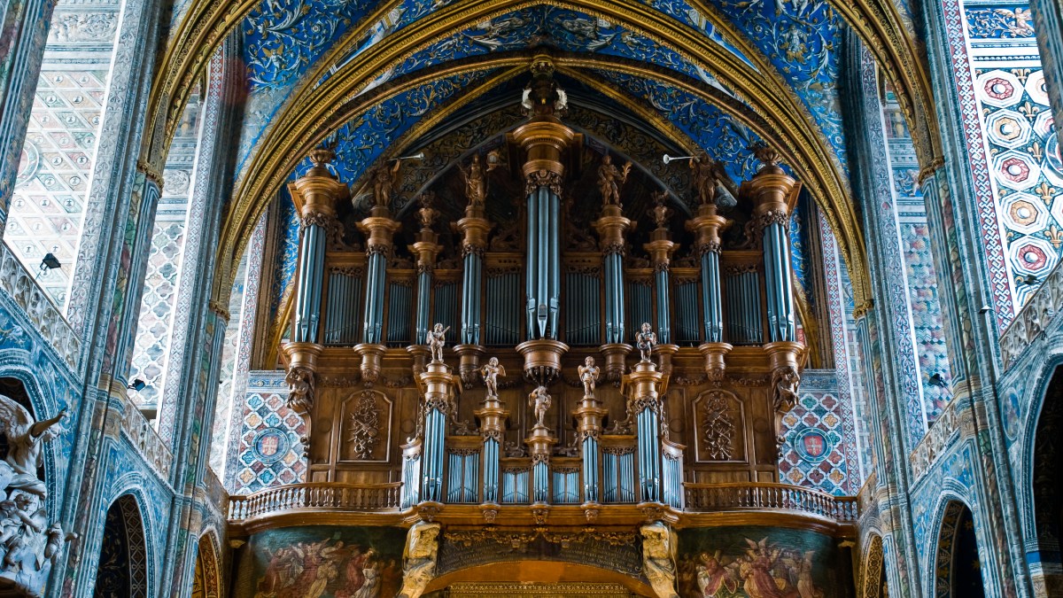 ALBI ORGAN