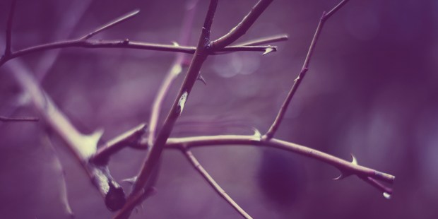 THORN