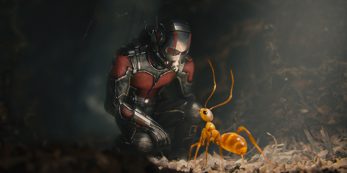 ANT MAN