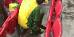 WORLD CUP