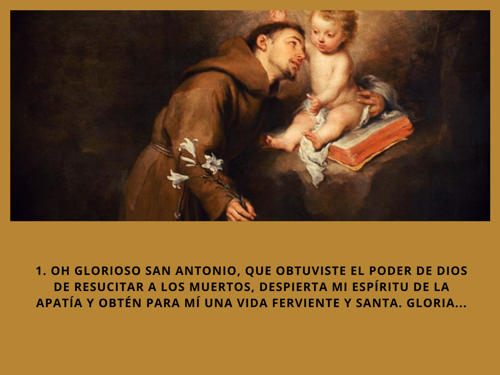 los-trece-martes-de-san-antonio-6405