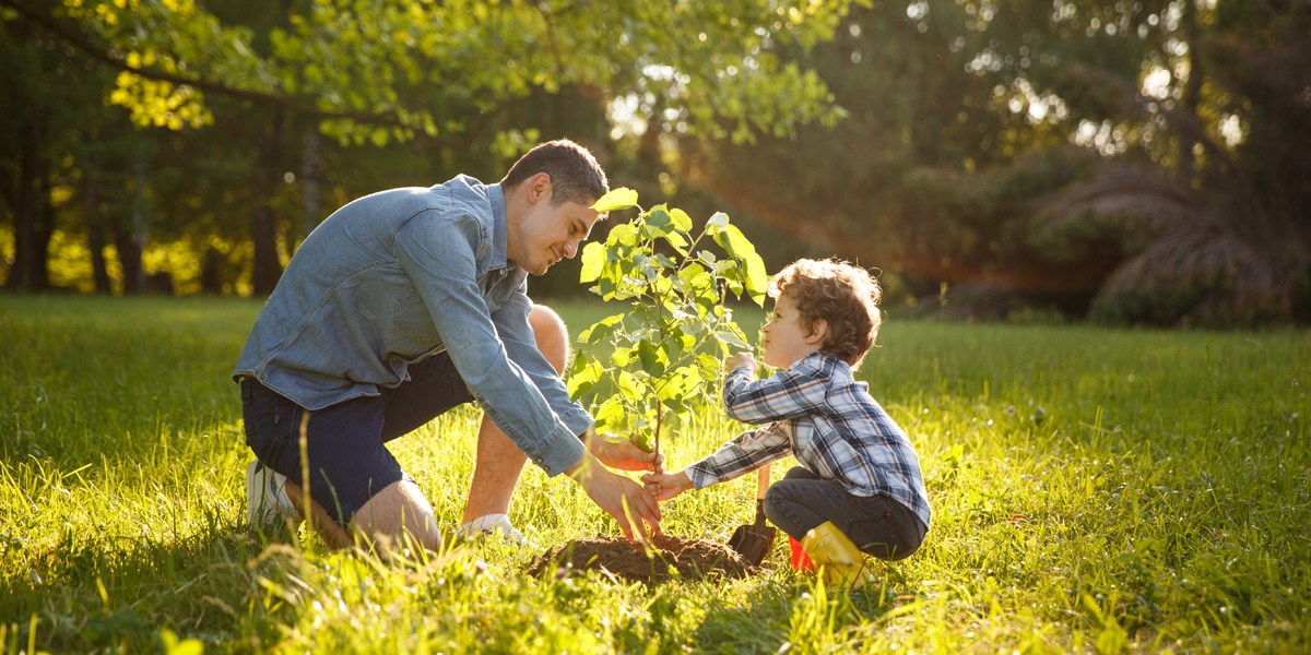 FATHER,SON,PLANT,TREE