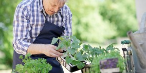 Vejez y jubilación, una oportunidad para aprovechar la vida