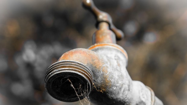 TAP