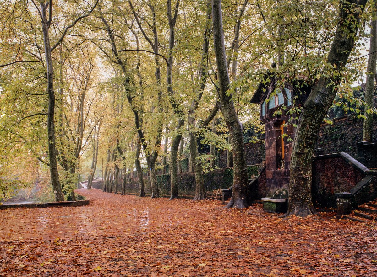 GARROTXA