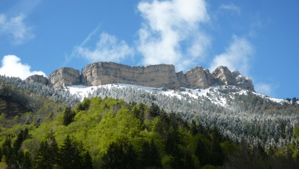 MOUNTAIN CHAMECHAUDE