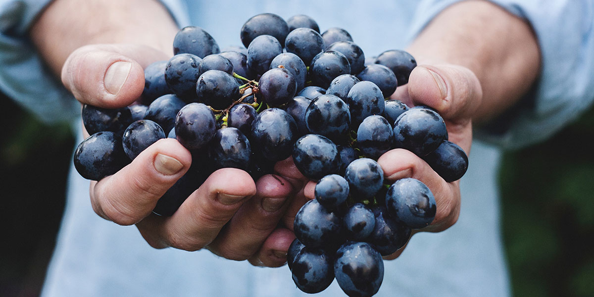 GRAPES
