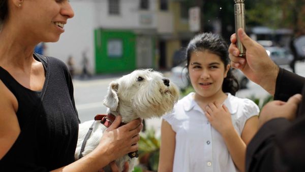 Bendición de objetos y animales