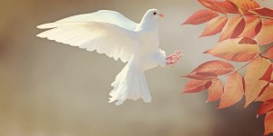 ¿Cuál es el pecado contra el Espíritu Santo?