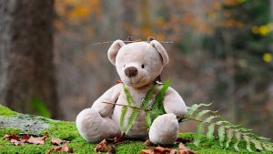 teddy-bear-524251_960_720