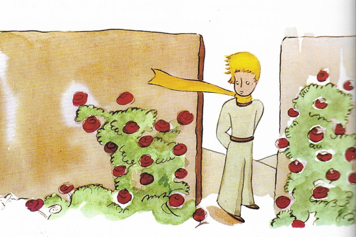 LE PETIT PRINCE