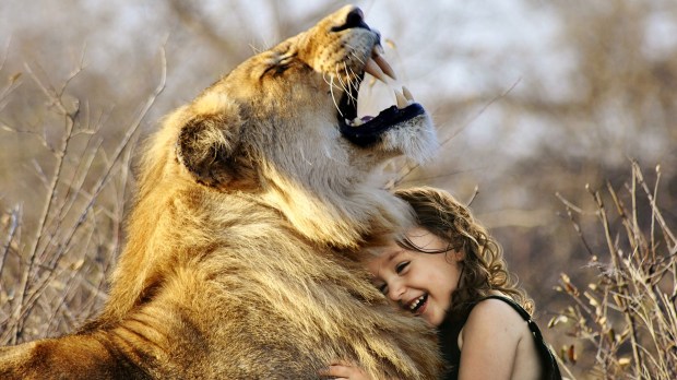 LION HUG BABYGIRL