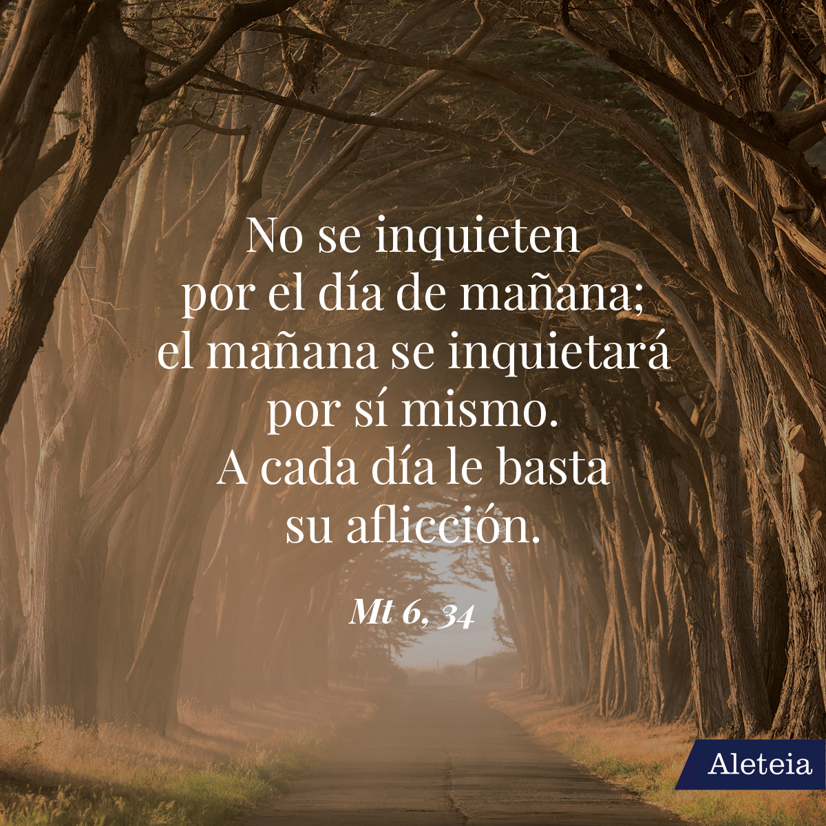 18-poderosas-citas-biblicas-para-cuando-sientes-que-los-problemas-te-superan-4239