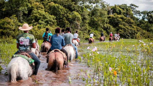 PANTANAL