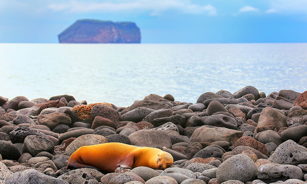 Las maravillas de Galápagos