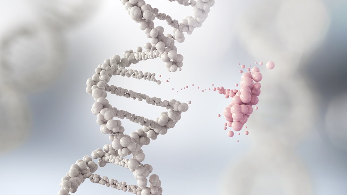 DNA