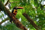 COSTA RICA
