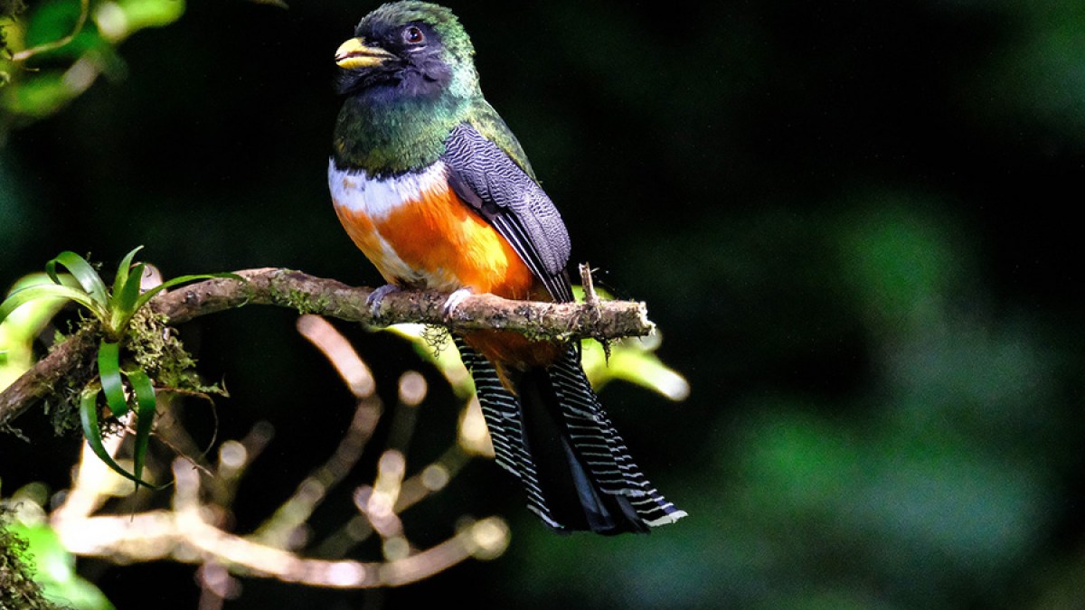 COSTA RICA