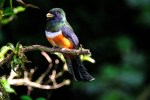 COSTA RICA