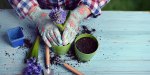 GARDENING